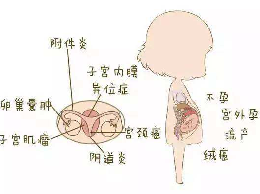 陰道分泌物黄瓜视频免费下载分析陰道炎早期症狀