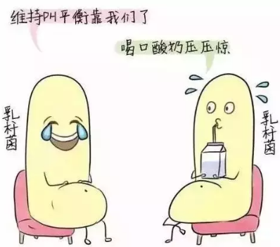 陰道分泌物91黄瓜视频下载診斷陰道微生態狀態的常用方法