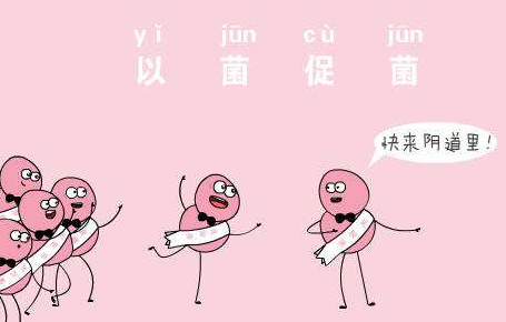 陰道微生態黄瓜视频免费下载廠家針對女人陰道微生態的解析