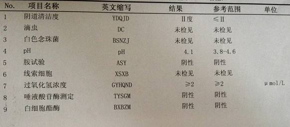 黄瓜成视频人APPGK-Y全自動陰道分泌物黄瓜视频免费下载廠家科普“白帶常規”查看報告！