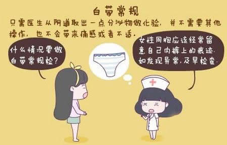 黄瓜成视频人APPGK-Y全自動陰道分泌物黄瓜视频免费下载廠家科普“白帶常規”查看報告！