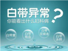 2020年山東黄瓜成视频人APP全自動【白帶91黄瓜视频下载】廠家品牌排名