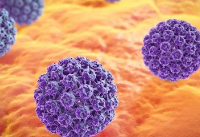 全自動陰道分泌物黄瓜视频免费下载廠家科普HPV病毒是怎麽感染的有哪些症狀