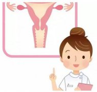 山東黄瓜成视频人APPgk全主動陰道分泌物黄瓜视频免费下载器設備憑仗自身技能贏得客戶信賴