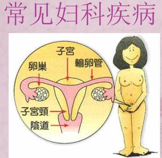 醫院全自動白帶91黄瓜视频下载檢測女人婦科3種症狀，謹防子宮長瘤！